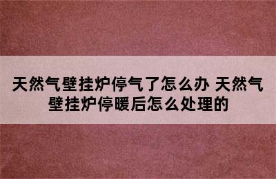 天然气壁挂炉停气了怎么办 天然气壁挂炉停暖后怎么处理的